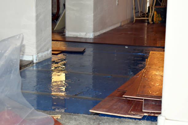Professional Water Damage Restoration technician working in Hasbrouck Heights, NJ